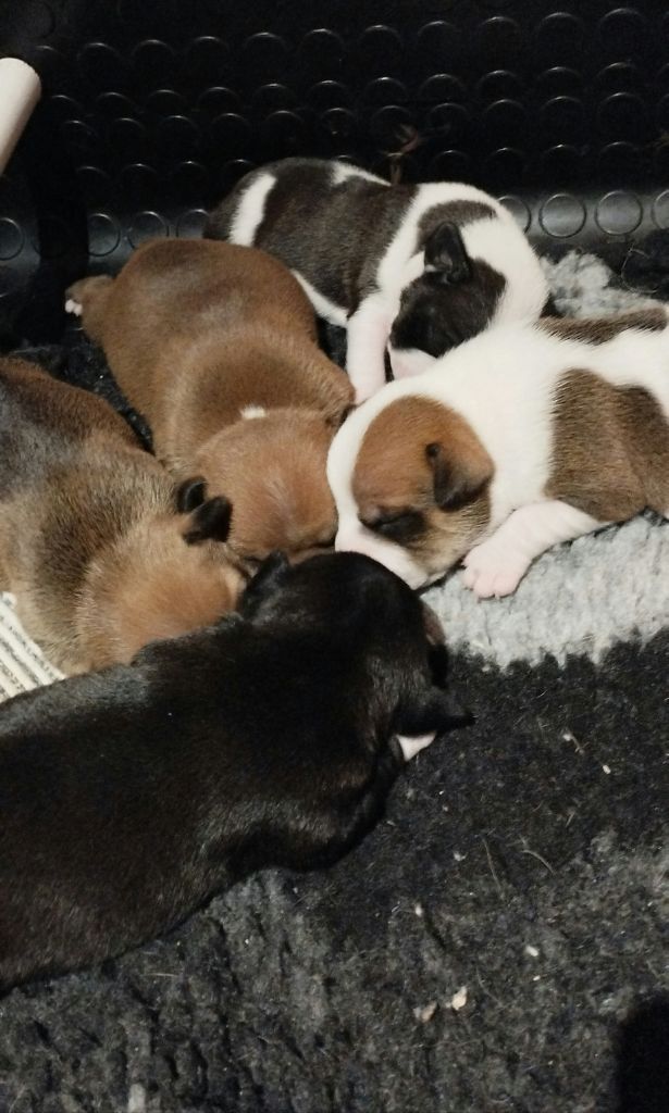 Les bouilles sont là ^^ 